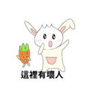 Rabbit bon and his carrot partner（個別スタンプ：30）