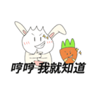 Rabbit bon and his carrot partner（個別スタンプ：31）