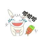 Rabbit bon and his carrot partner（個別スタンプ：36）