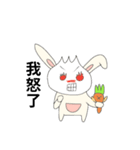 Rabbit bon and his carrot partner（個別スタンプ：40）