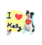 I am Kelly！（個別スタンプ：11）