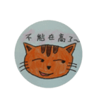 Orange  Kitten（個別スタンプ：13）