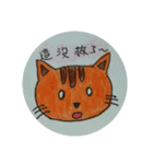 Orange  Kitten（個別スタンプ：15）