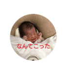 Shukubaby2（個別スタンプ：3）