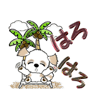 【大きめ文字】シーズー犬の夏 Vol.7（個別スタンプ：16）