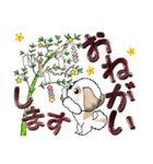 【大きめ文字】シーズー犬の夏 Vol.7（個別スタンプ：27）