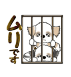 【大きめ文字】シーズー犬の夏 Vol.7（個別スタンプ：28）