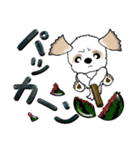 【大きめ文字】シーズー犬の夏 Vol.7（個別スタンプ：40）