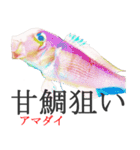 狙い魚宣言（個別スタンプ：5）