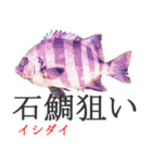 狙い魚宣言（個別スタンプ：7）