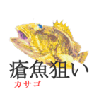 狙い魚宣言（個別スタンプ：11）