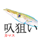 狙い魚宣言（個別スタンプ：13）