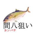 狙い魚宣言（個別スタンプ：15）