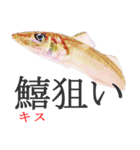 狙い魚宣言（個別スタンプ：16）