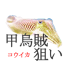 狙い魚宣言（個別スタンプ：20）