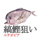 狙い魚宣言（個別スタンプ：24）