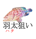 狙い魚宣言（個別スタンプ：29）