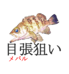 狙い魚宣言（個別スタンプ：39）