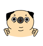 I am a PUG ！（個別スタンプ：3）