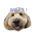 犬ですけど、なにか？ 1（個別スタンプ：2）