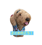 犬ですけど、なにか？ 1（個別スタンプ：7）