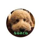 犬ですけど、なにか？ 1（個別スタンプ：23）