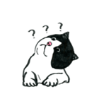 可愛すぎる黒白猫みぃちゃんの毎日 中国語（個別スタンプ：4）
