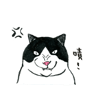 可愛すぎる黒白猫みぃちゃんの毎日 中国語（個別スタンプ：32）