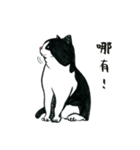 可愛すぎる黒白猫みぃちゃんの毎日 中国語（個別スタンプ：35）