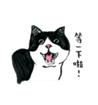 可愛すぎる黒白猫みぃちゃんの毎日 中国語（個別スタンプ：36）