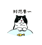 可愛すぎる黒白猫みぃちゃんの毎日 中国語（個別スタンプ：38）