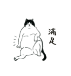 可愛すぎる黒白猫みぃちゃんの毎日 中国語（個別スタンプ：39）