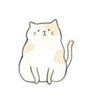 Chubby Rice Cat（個別スタンプ：1）