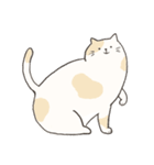 Chubby Rice Cat（個別スタンプ：3）