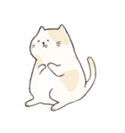 Chubby Rice Cat（個別スタンプ：5）
