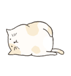 Chubby Rice Cat（個別スタンプ：10）