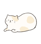 Chubby Rice Cat（個別スタンプ：14）