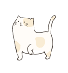 Chubby Rice Cat（個別スタンプ：18）