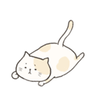 Chubby Rice Cat（個別スタンプ：20）