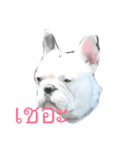 oppo frenchbulldog（個別スタンプ：3）