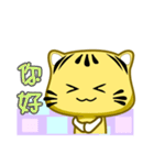 Cute striped cat. CAT81（個別スタンプ：20）