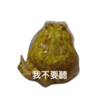 frogs daily（個別スタンプ：25）