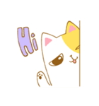 TAT cat（個別スタンプ：19）