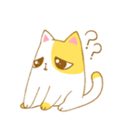 TAT cat（個別スタンプ：23）