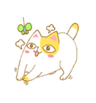 TAT cat（個別スタンプ：24）