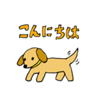 Sticker of My Miniature dachshund（個別スタンプ：1）