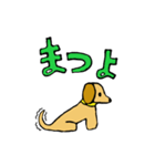 Sticker of My Miniature dachshund（個別スタンプ：6）