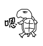 Turtle's Man（個別スタンプ：26）