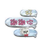 Double Cats 4（個別スタンプ：4）