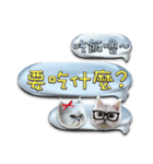 Double Cats 4（個別スタンプ：23）